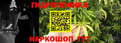 apvp Кандалакша