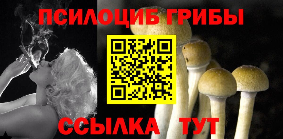 Псилоцибиновые грибы Magic Shrooms  Псилоцибиновые грибы GOLDEN TEACHER  Кстово  Вход с VPN 